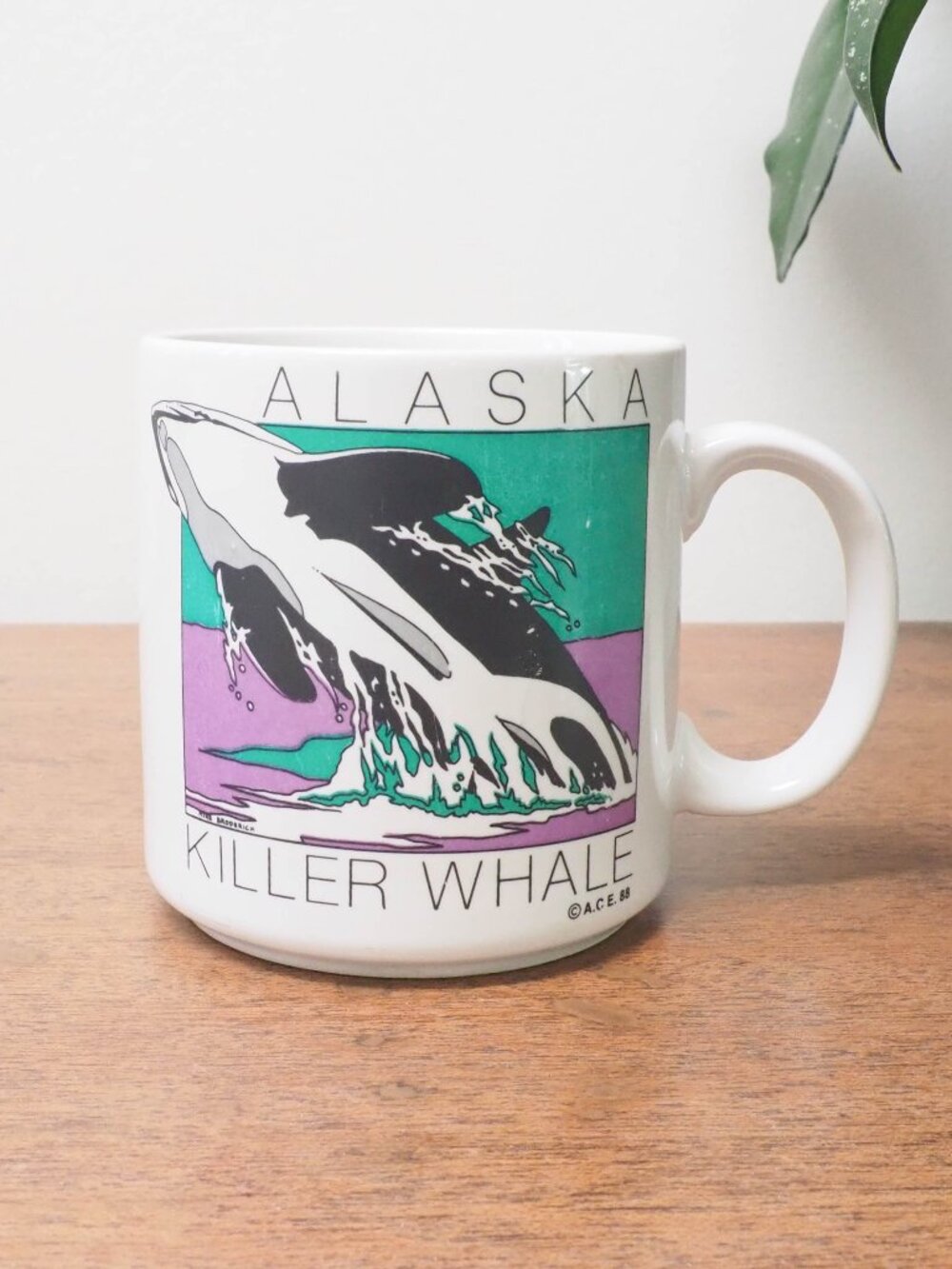 Vtg Alaska Killer Whale Mug - Vtg Souvenir Mug - Housewarming Gift